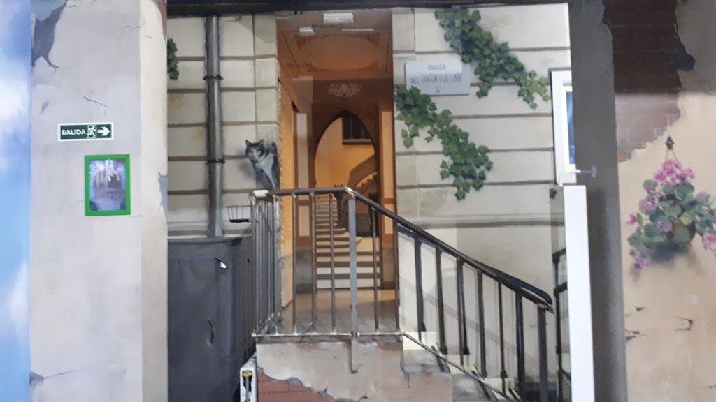 Museo de las Ilusiones 14