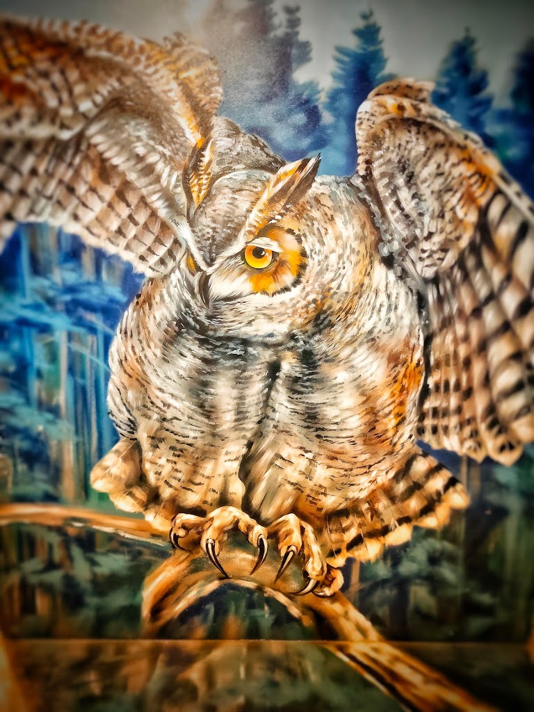 Museo de las Ilusiones - Foto 16