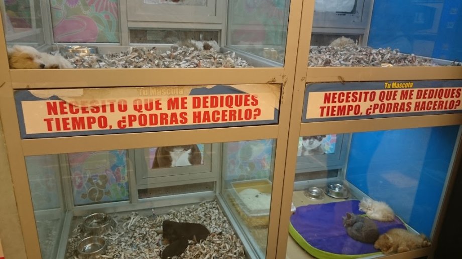 Marineda City - Foto 5