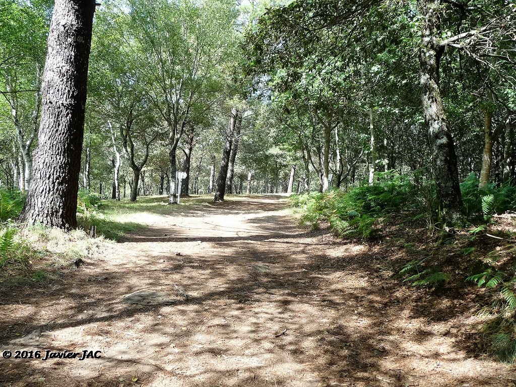 Parque Forestal do Vixiador 18