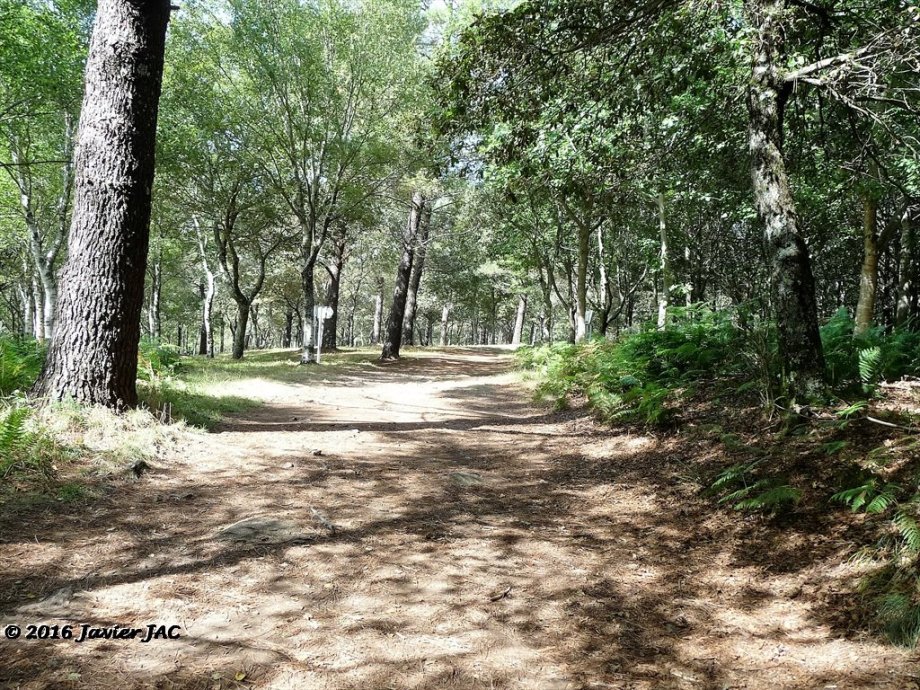 Parque Forestal do Vixiador - Foto 3