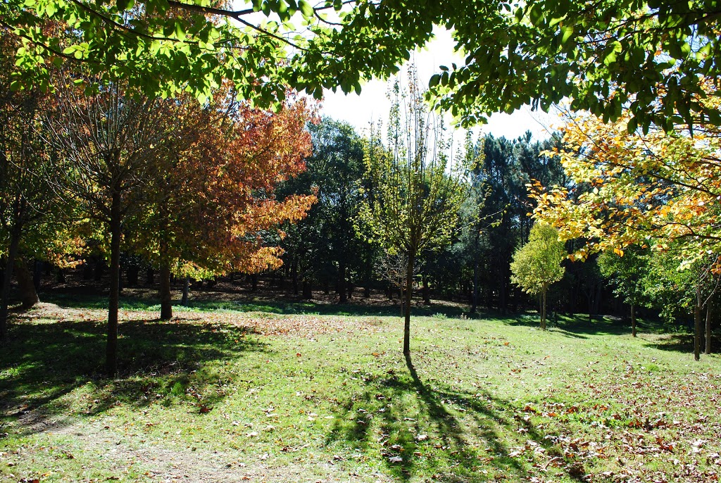 Parque Forestal do Vixiador 23