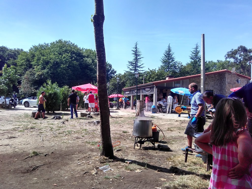 Parque Forestal do Vixiador 11