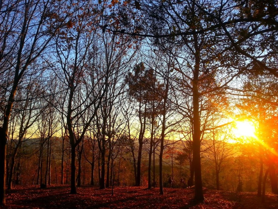 Parque Forestal do Vixiador - Foto 24