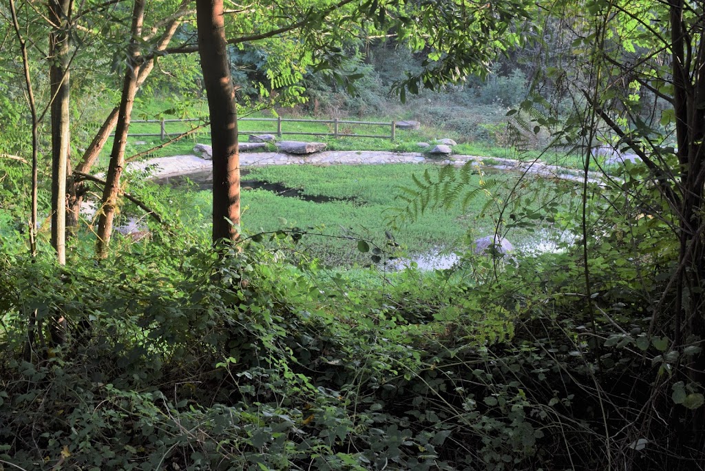 Parque Forestal do Vixiador 5