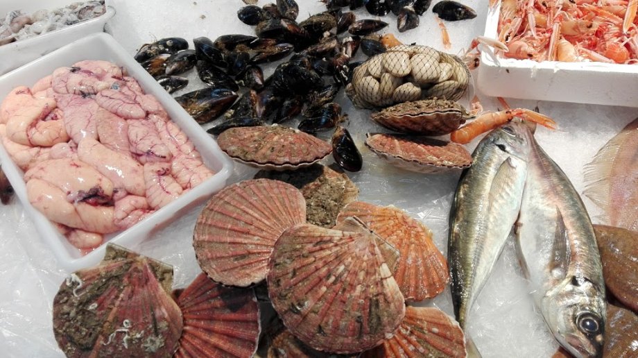 Mercado do Progreso - Foto 4