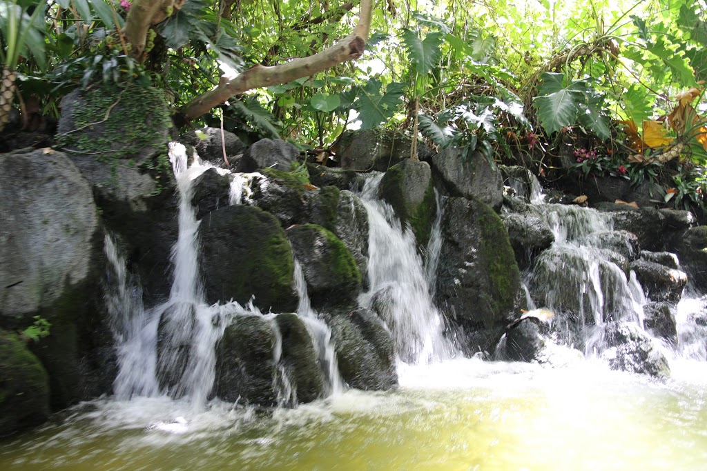 Disney World Magic Kingdom 18