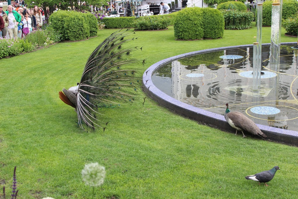 Jardines de Tivoli 15