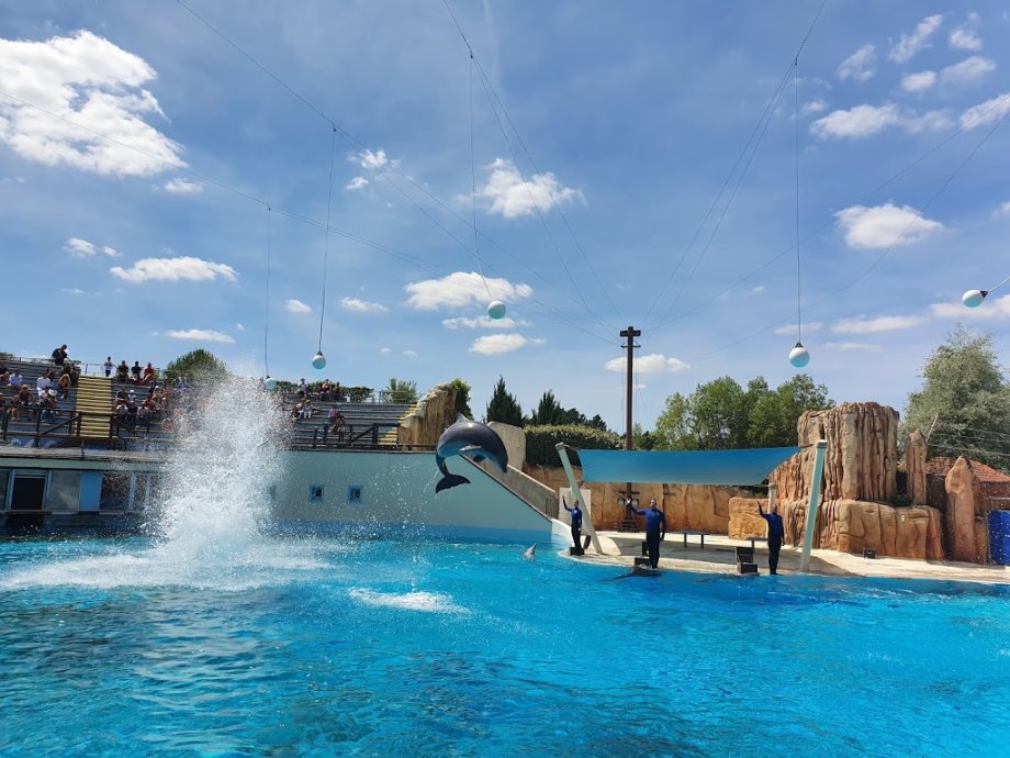 Parc Asterix - Foto 18