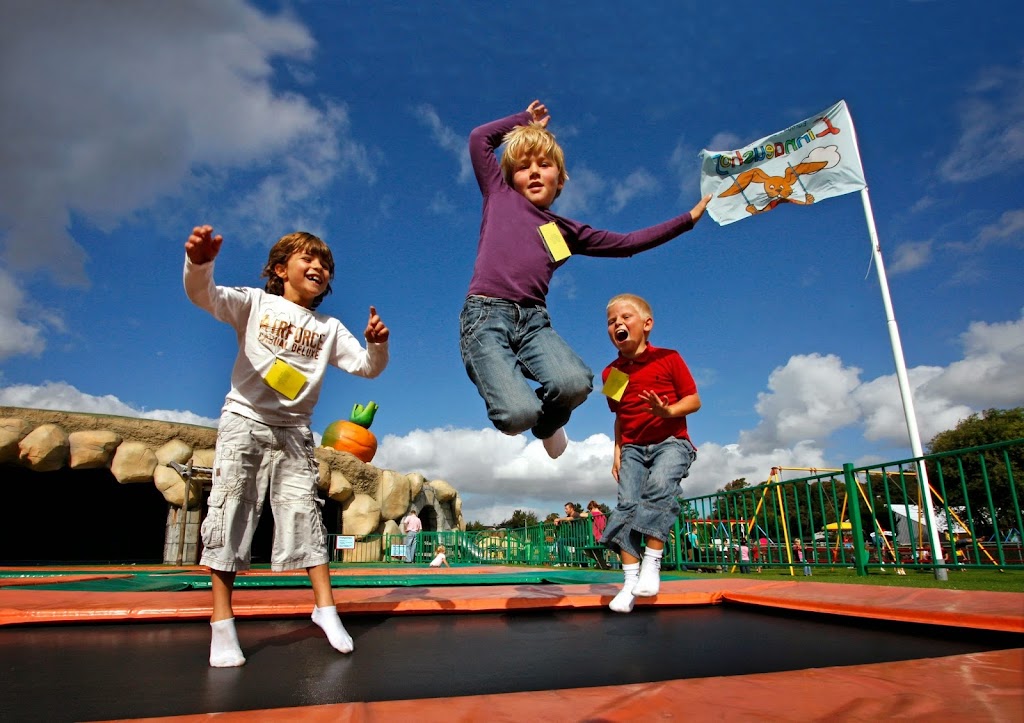 Linnaeushof - Foto 1