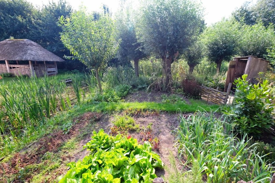 Museo al aire libre Archeon - Foto 5