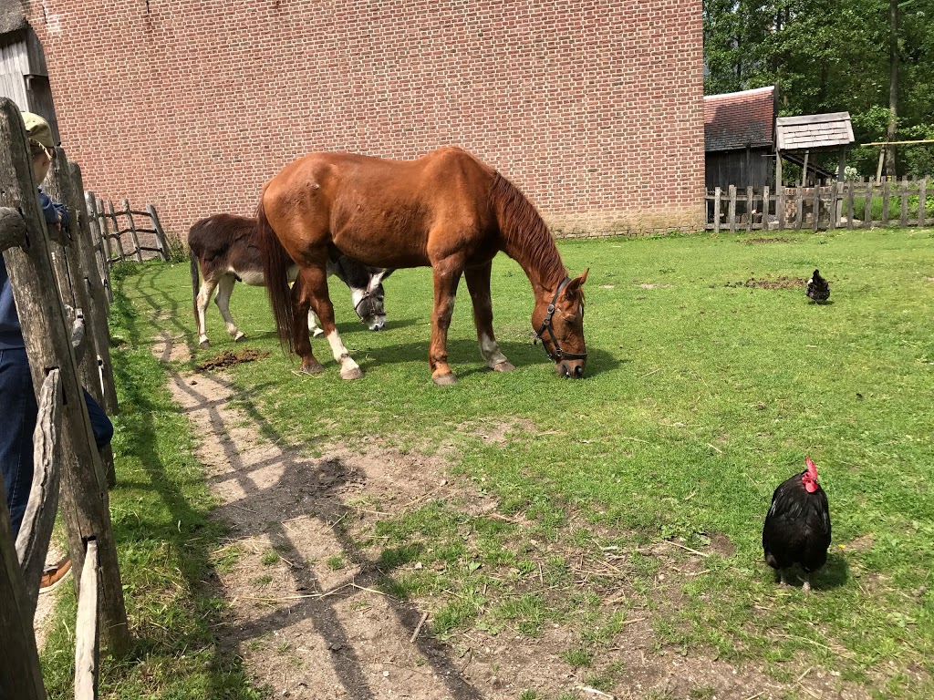 Museo al aire libre Archeon - Foto 1