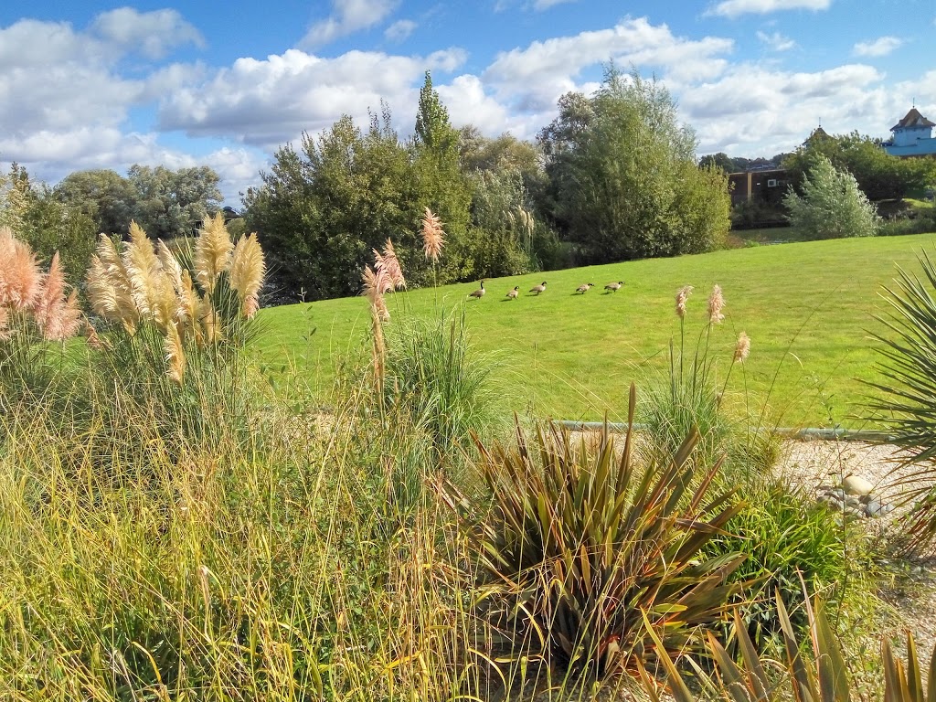 Thorpe Park Resort 12