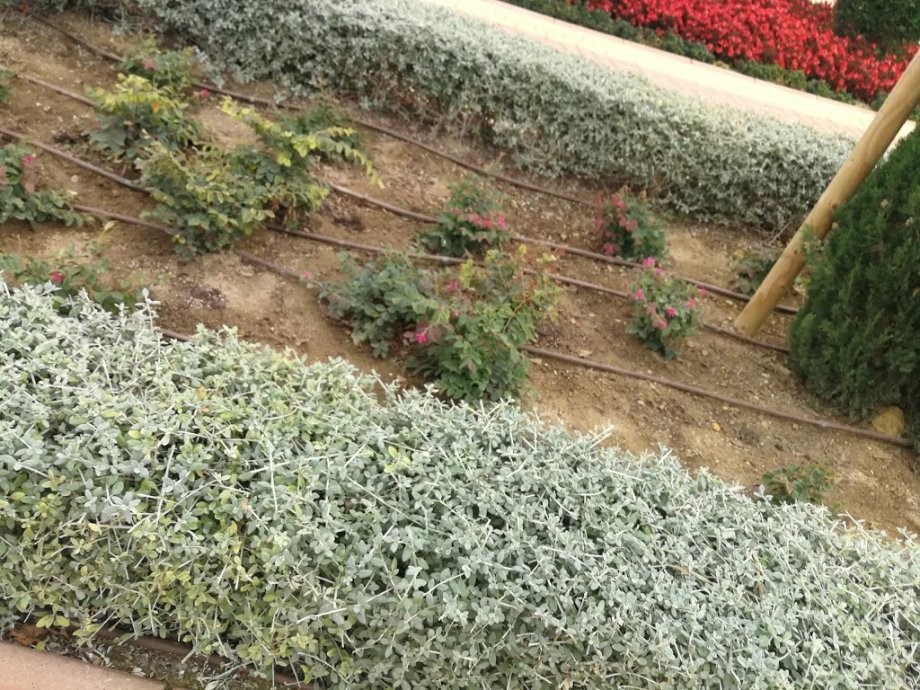 Ferrari Land - Foto 7