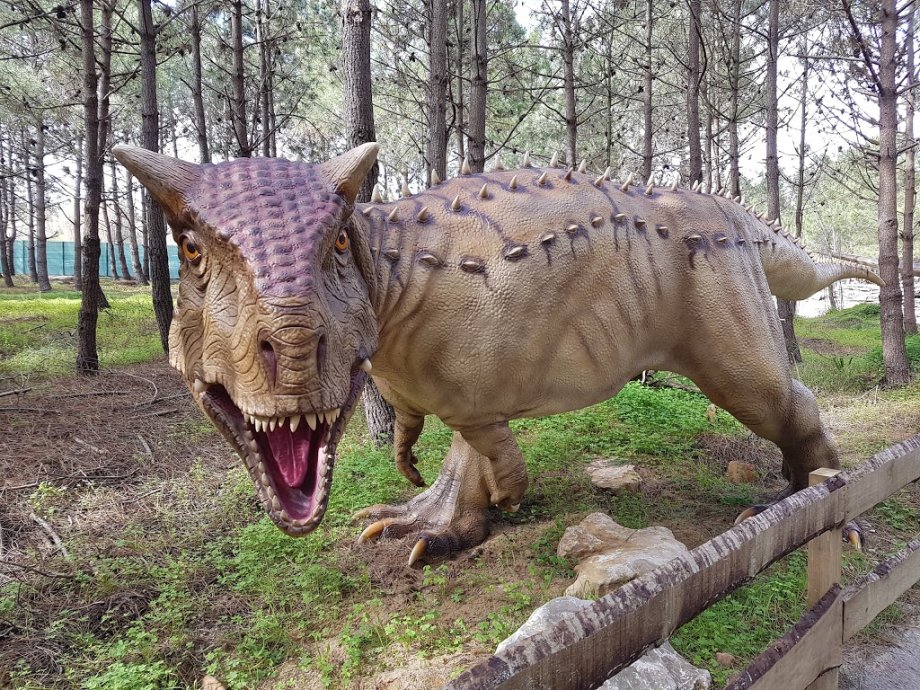 Dino Parque Lourinhã - Foto 8