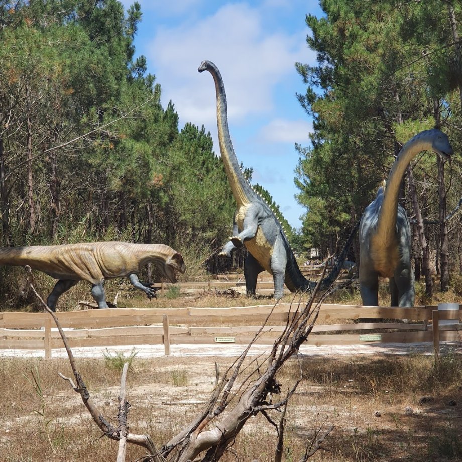 Dino Parque Lourinhã - Foto 13