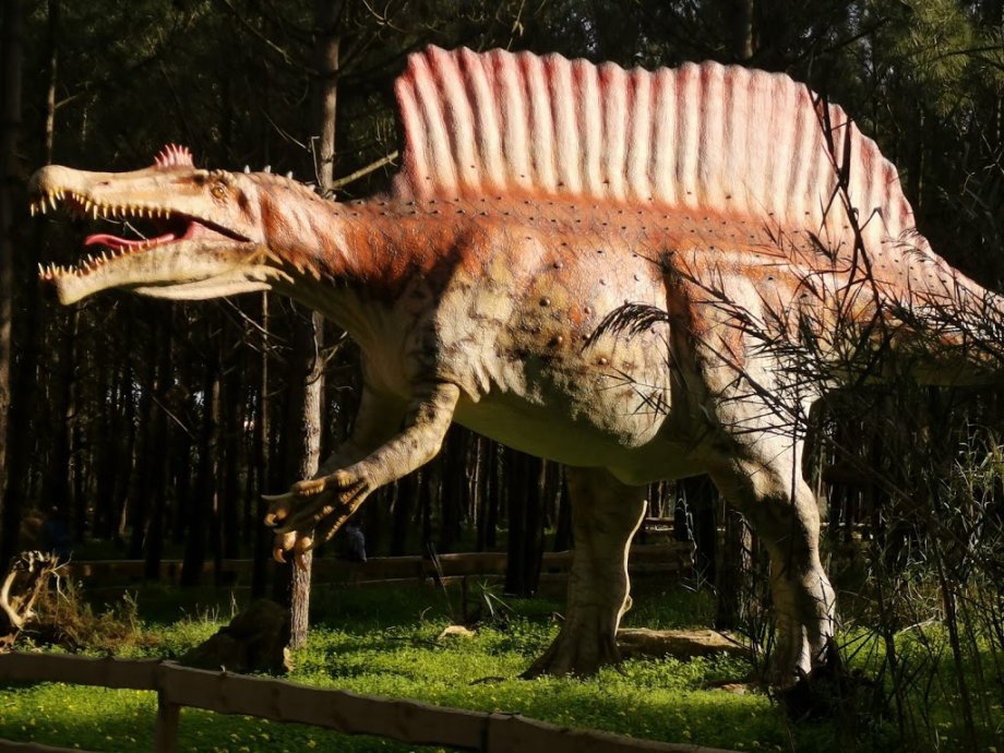 Dino Parque Lourinhã - Foto 14