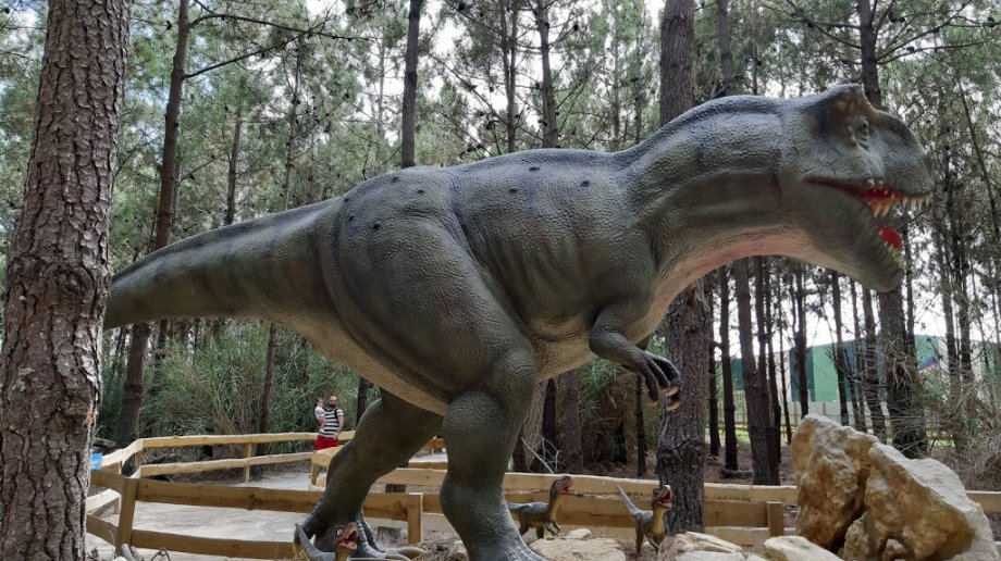 Dino Parque Lourinhã - Foto 15
