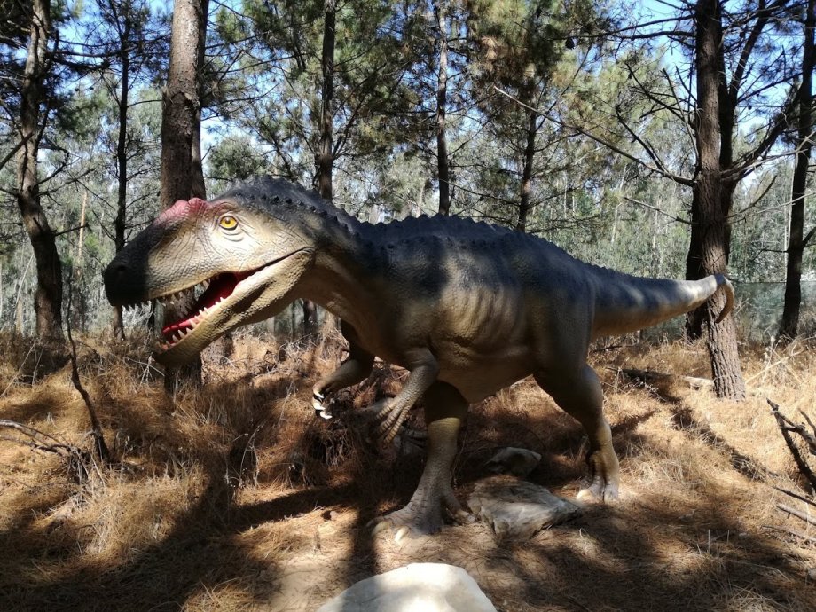 Dino Parque Lourinhã - Foto 18