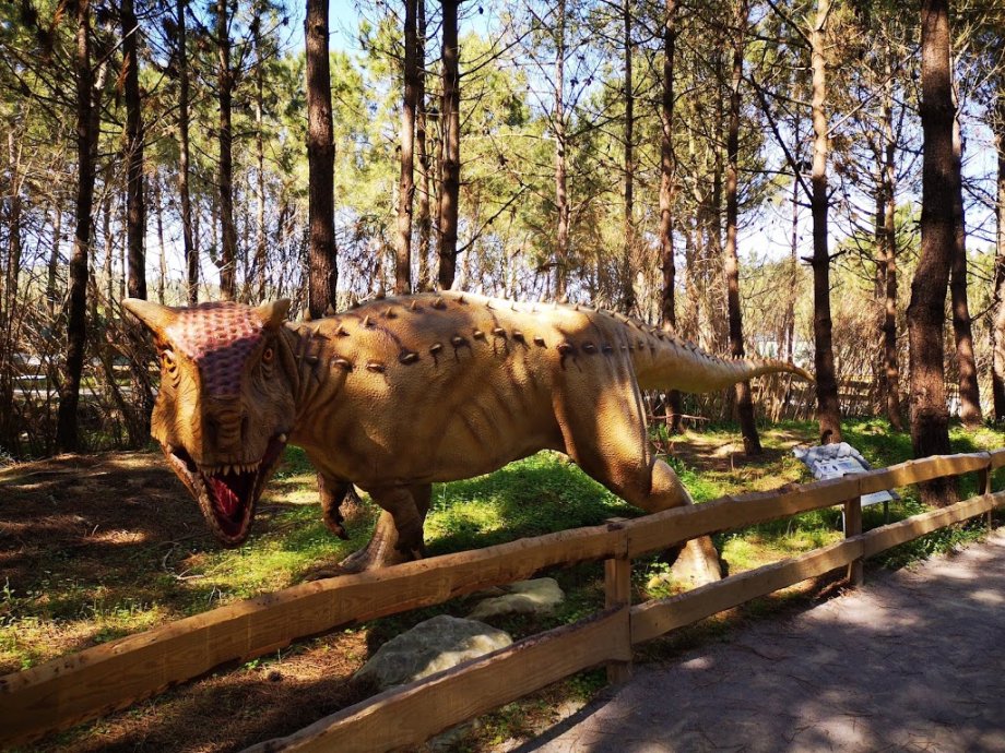 Dino Parque Lourinhã - Foto 11