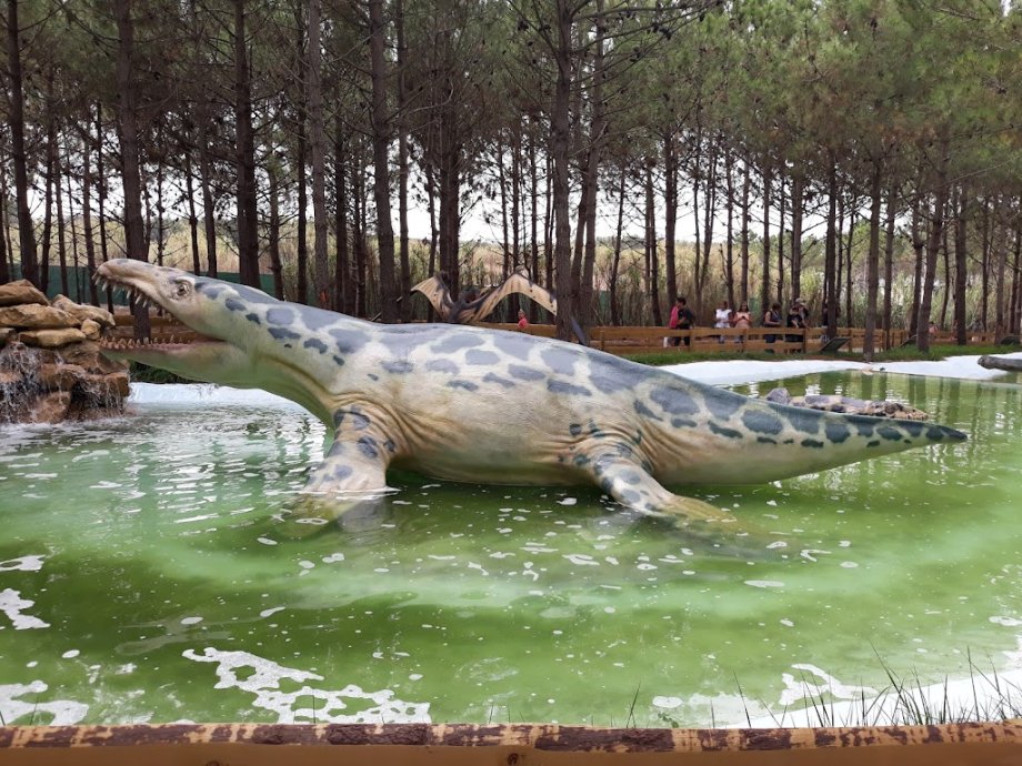 Dino Parque Lourinhã - Foto 23