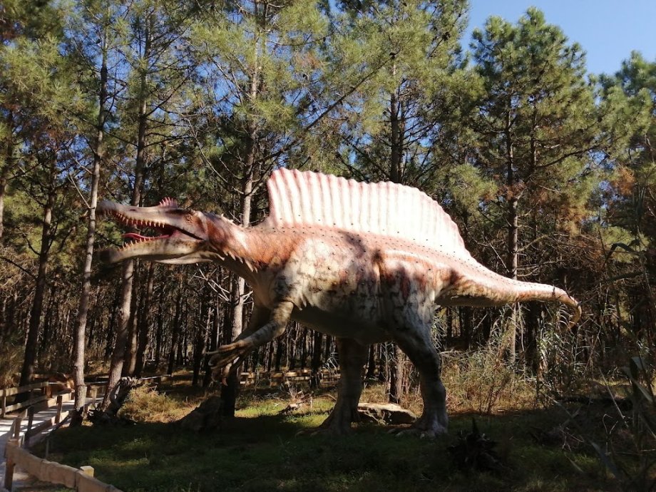 Dino Parque Lourinhã - Foto 20