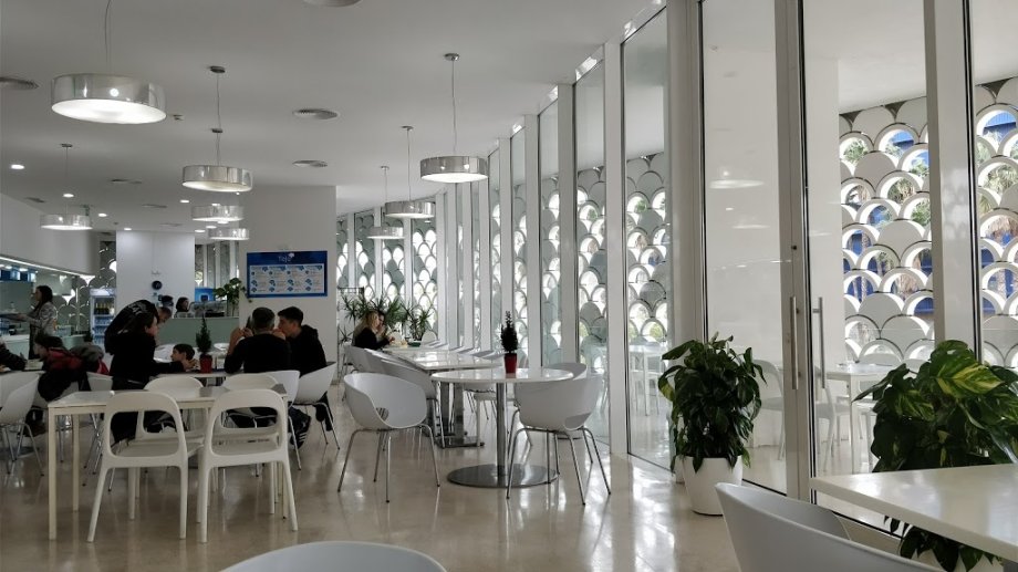 Oceanario de Lisboa - Foto 4