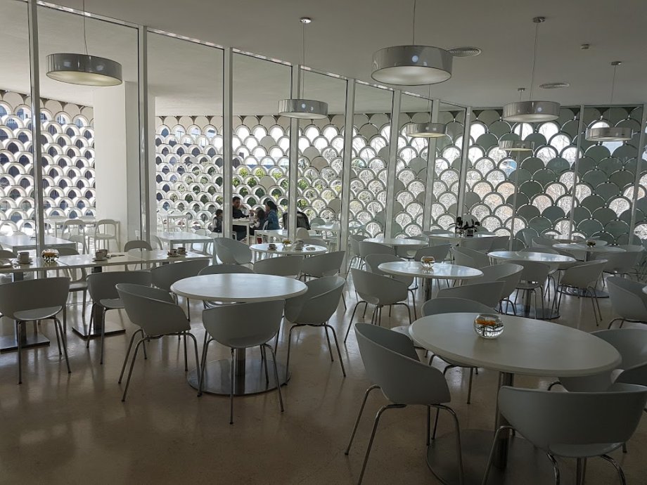 Oceanario de Lisboa - Foto 8