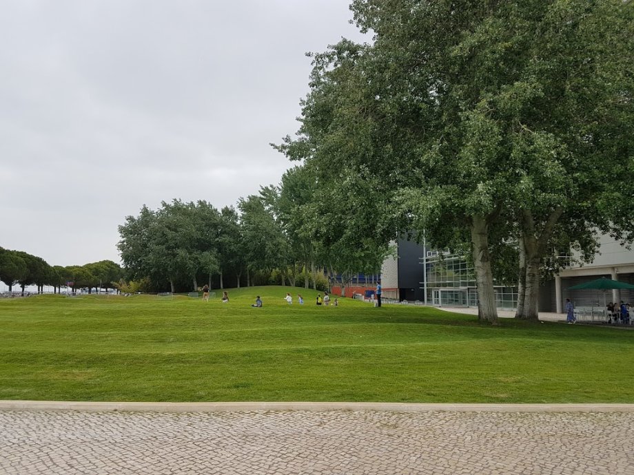 Oceanario de Lisboa - Foto 10