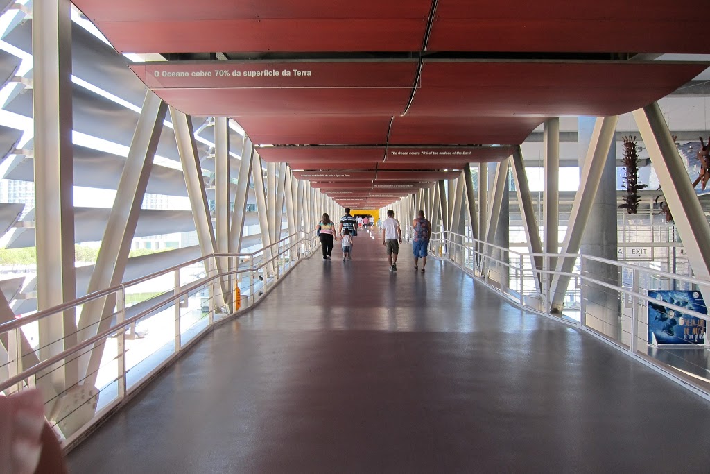 Oceanario de Lisboa 20