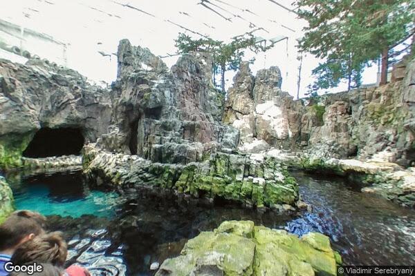 Oceanario de Lisboa - Foto 12