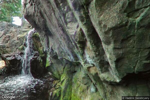 Oceanario de Lisboa - Foto 13