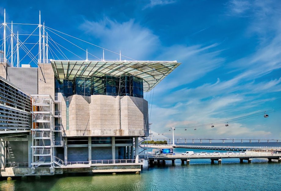 Oceanario de Lisboa - Foto 14
