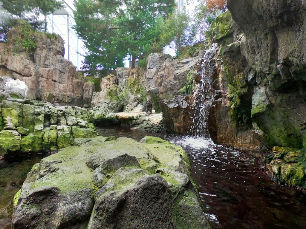 Oceanario de Lisboa 3