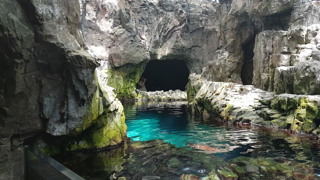 Oceanario de Lisboa 8