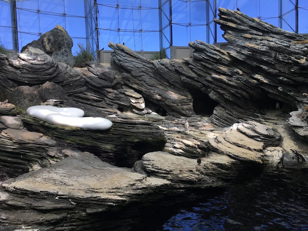 Oceanario de Lisboa 9