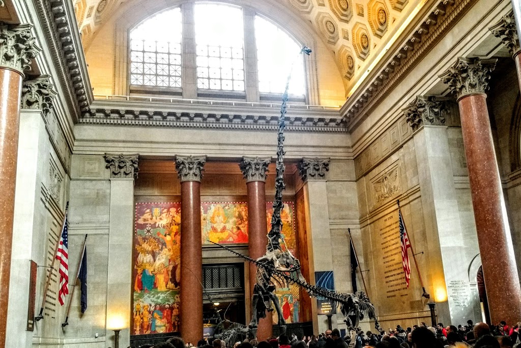 Museo Americano de Historia Natural 11