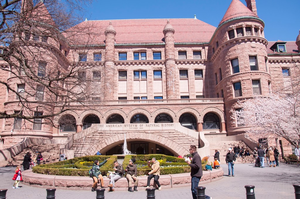 Museo Americano de Historia Natural 13