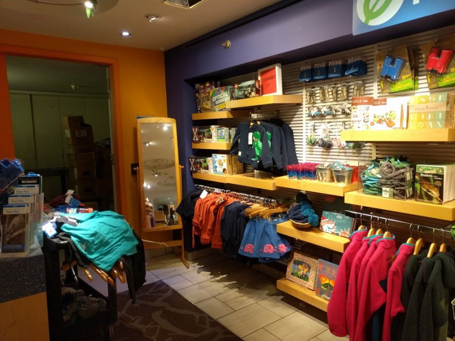 Museo Americano de Historia Natural - Foto 4