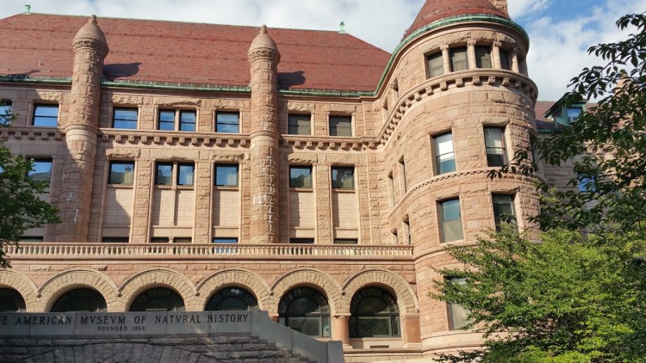 Museo Americano de Historia Natural - Foto 6