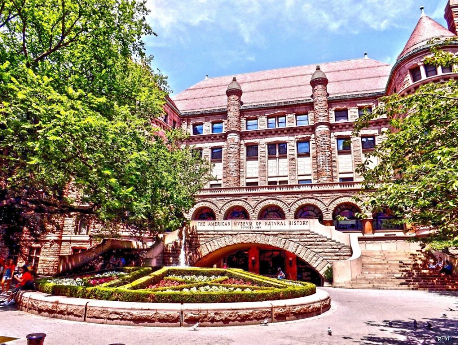 Museo Americano de Historia Natural - Foto 7