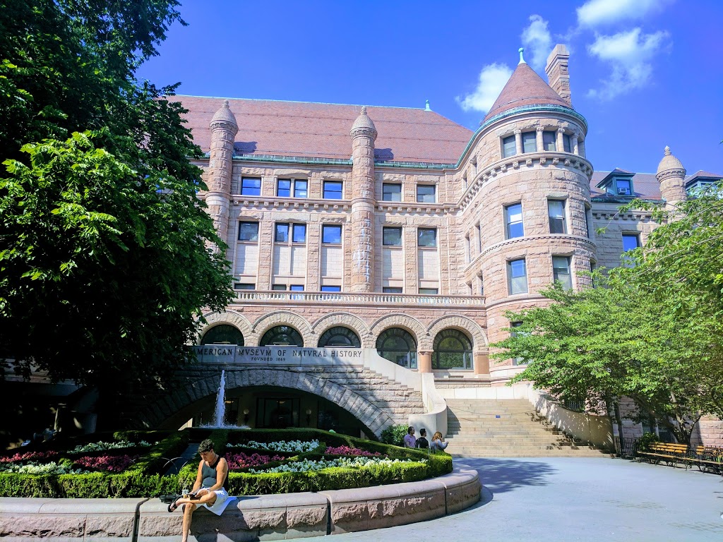 Museo Americano de Historia Natural 19