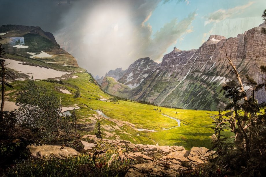 Museo Americano de Historia Natural - Foto 10