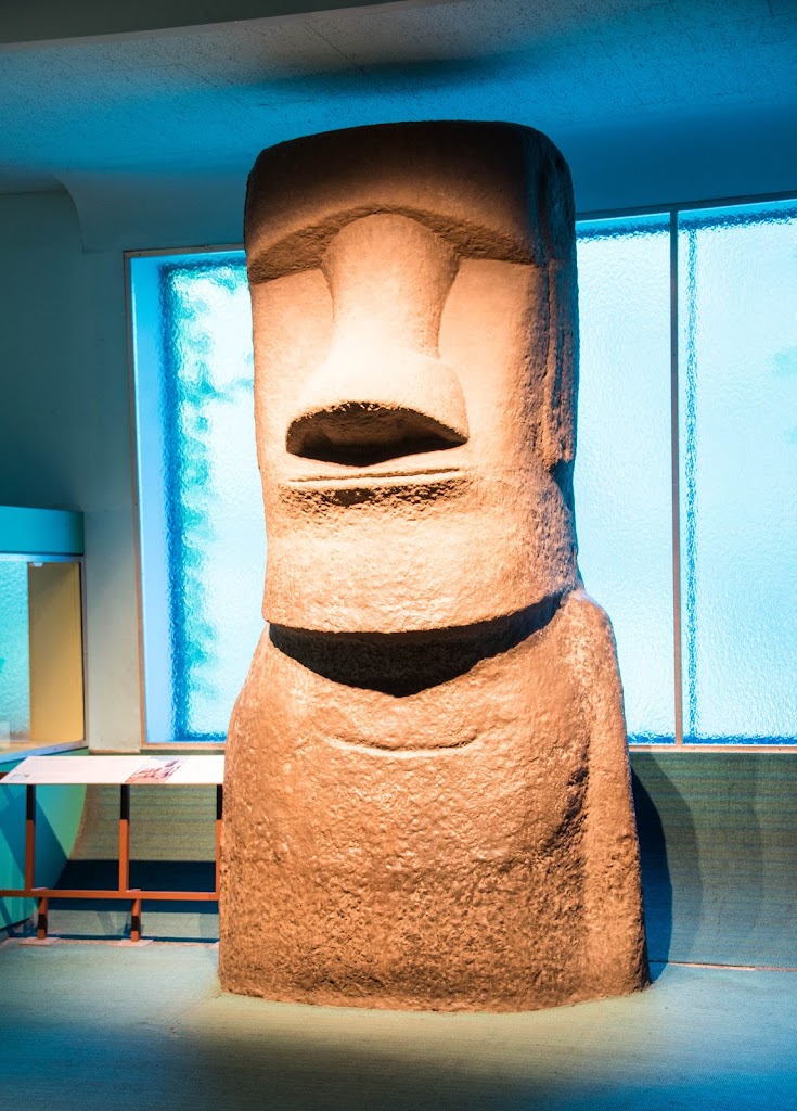 Museo Americano de Historia Natural - Foto 1