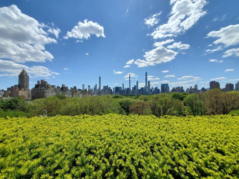 Museo Metropolitano de Arte - Foto 19