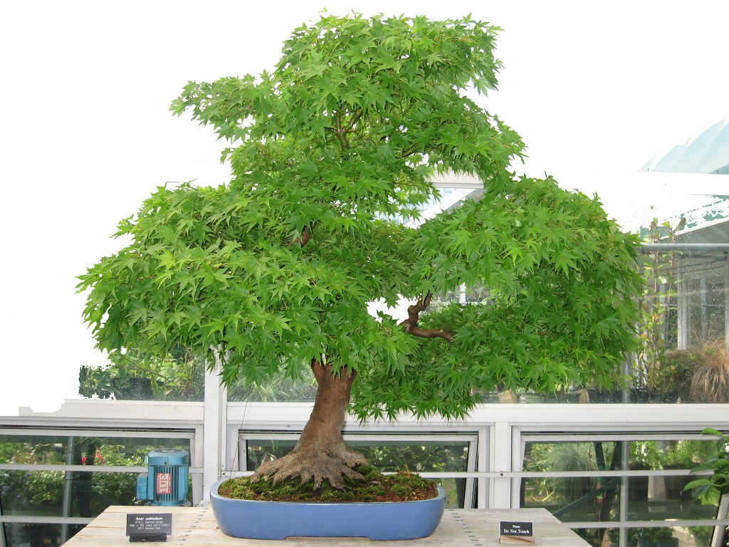 Heckscher Playground - Foto 1