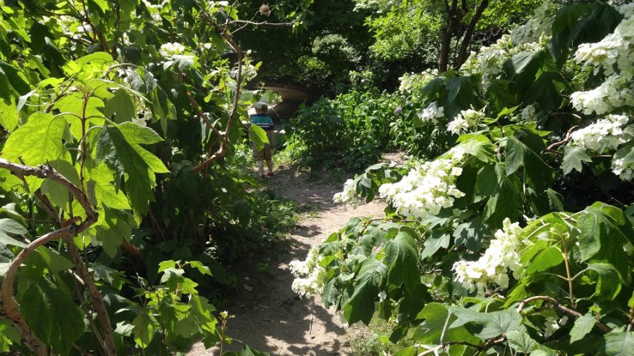 Billy Johnson Playground - Foto 11