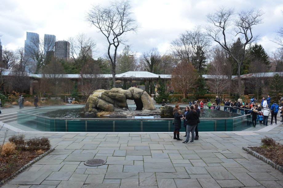 Central Park Zoo - Foto 2