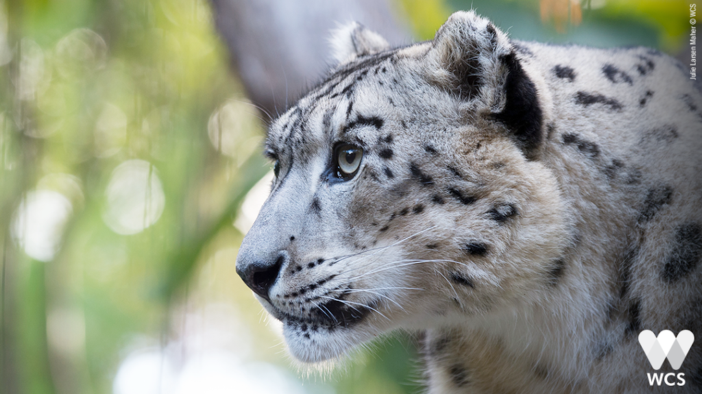 Central Park Zoo - Foto 1
