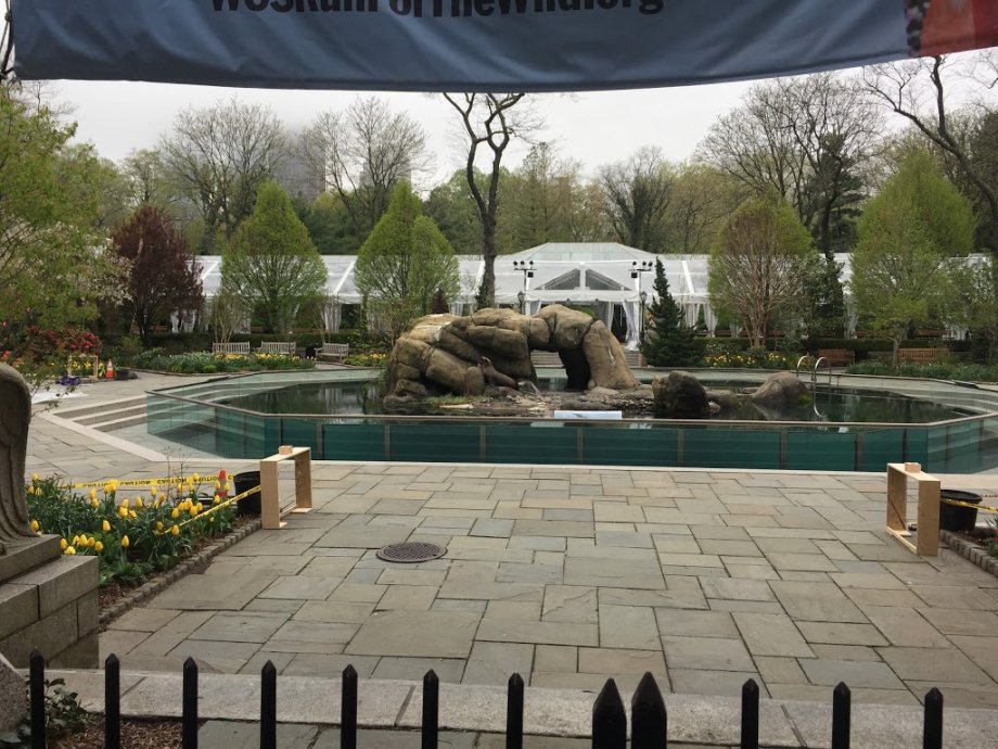 Central Park Zoo - Foto 5